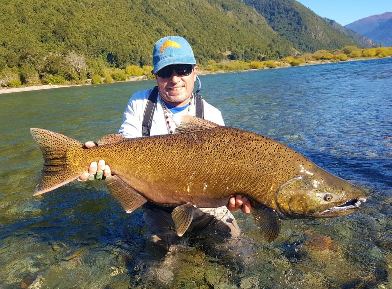 Cabanas Nutrias Patagonicas Puelo River Экстерьер фото